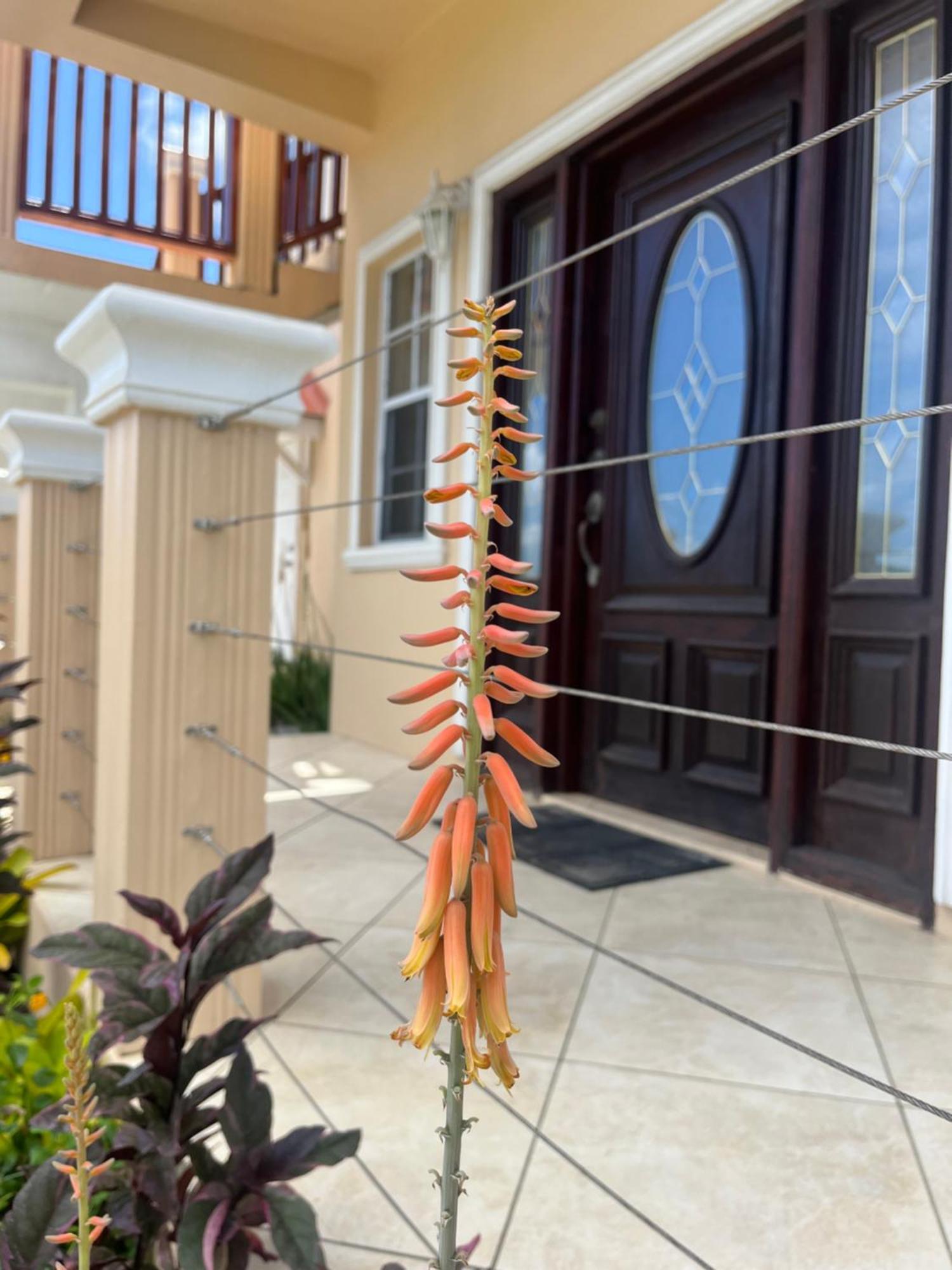 Belle Breeze Haven Apartment Gros Islet Ngoại thất bức ảnh