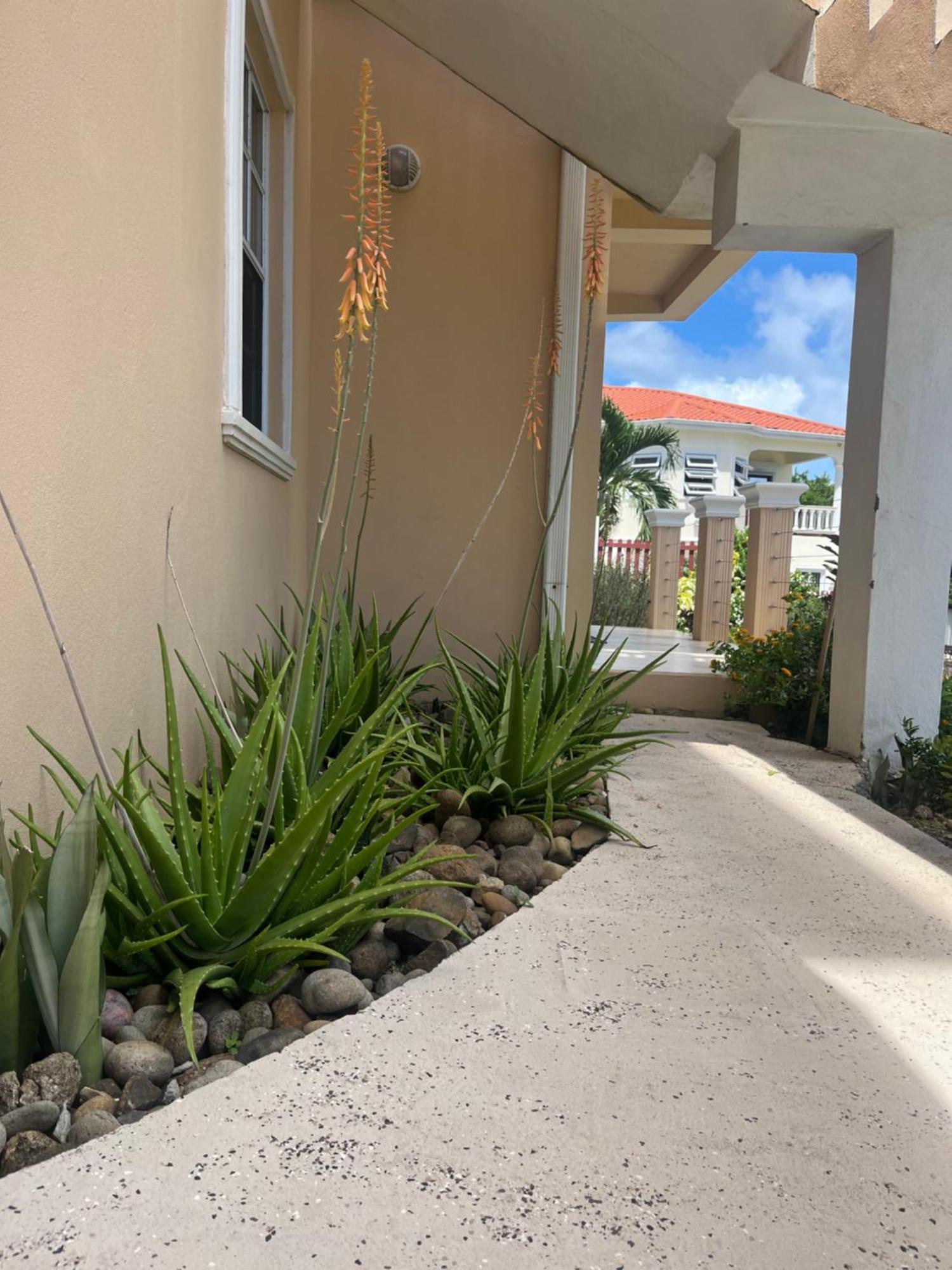 Belle Breeze Haven Apartment Gros Islet Ngoại thất bức ảnh